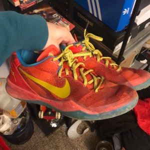 Kobe 7 year of the horse